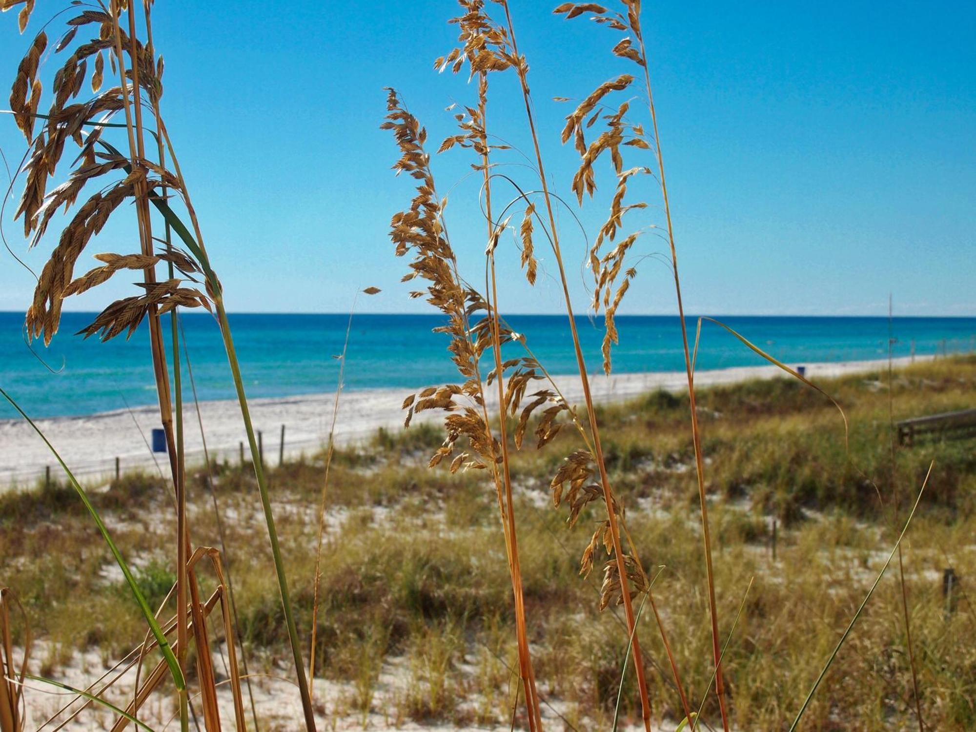 Ocean Reef 802 Villa Panama City Beach Exterior photo